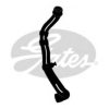 GATES 3953 Radiator Hose